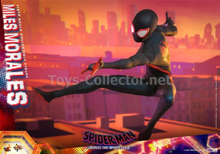 Hot Toys MMS710 1/6 Spider-Man: Across the Spider-Verse - Miles Morales (KU)