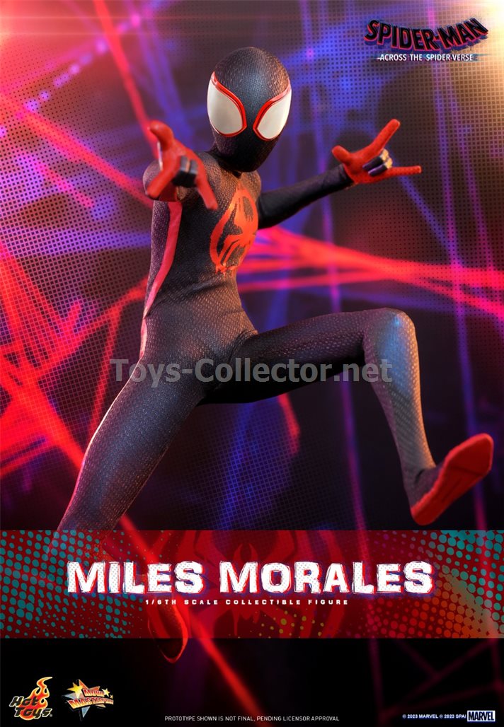 Hot Toys MMS710 1/6 Spider-Man: Across the Spider-Verse - Miles Morales (KU)