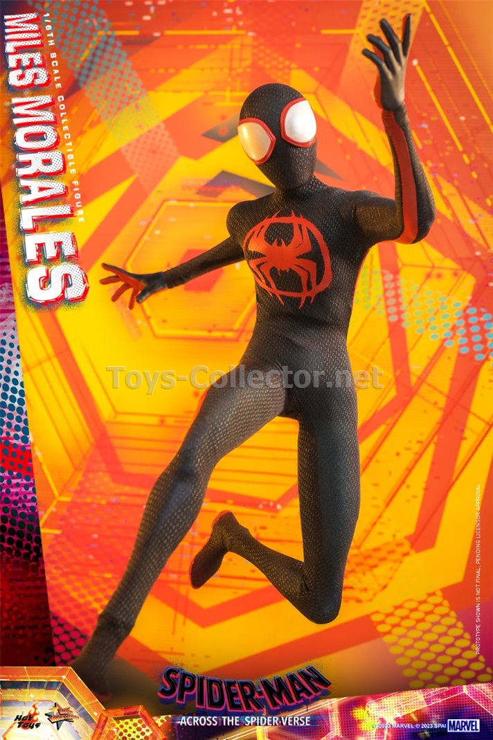 Hot Toys MMS710 1/6 Spider-Man: Across the Spider-Verse - Miles Morales (KU)