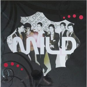 แผ่นเสียง Mild (TC) 